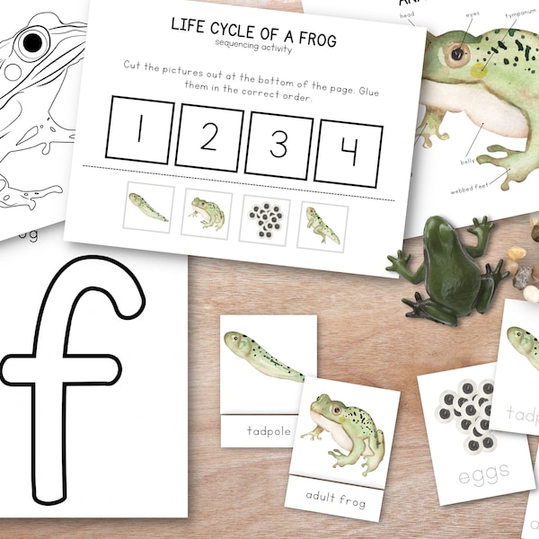 Frog Unit Study Bundle, Nature Study, Homeschool Learning Resource, Spring Montessori Lesson, Spring Bundle, Language Cards