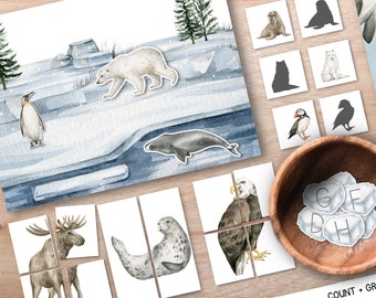 Arctic Animal Activity Unit, Winter Montessori unit, nature flashcards, homeschool winter nature unit, preschool hands on activities