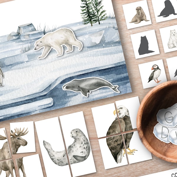 Arctic Animal Activity Unit, Winter Montessori unit, nature flashcards, homeschool winter nature unit, preschool hands on activities