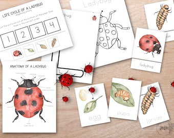 Ladybug Unit Study Bundle, Nature Study, Homeschool Learning Resource, Spring Montessori Lesson, Spring Bundle, Language Cards