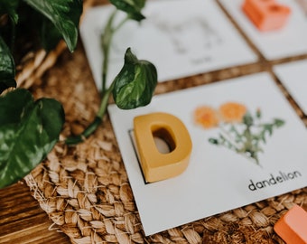 Lentekaarten voor kinderen, flashcards lentethema, voorschoolse activiteit lente, homeschool lentetijd, harsletters lentethema