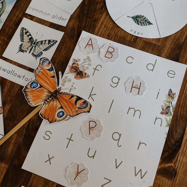 Butterfly Activity Unit, Butterfly Montessori unit, nature flashcards, homeschool spring nature unit, butterfly life cyclehands on unit