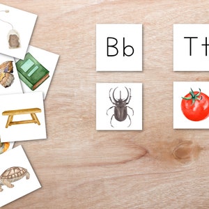 May include: A set of flashcards with images and letters. The images include a butterfly, a book, a stool, a bird, a turtle, a beetle, a tea bag, and a tomato. The letters are B and T.
