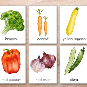 May include: A set of six flashcards featuring watercolor illustrations of various vegetables, each with its name printed below. The vegetables include broccoli, carrot, yellow squash, red pepper, red onion, and okra.
