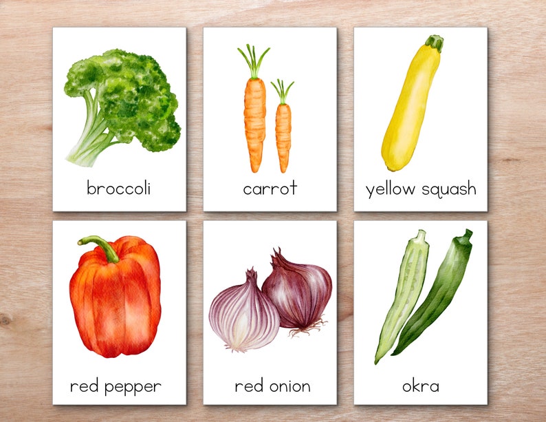 May include: A set of six flashcards featuring watercolor illustrations of various vegetables, each with its name printed below. The vegetables include broccoli, carrot, yellow squash, red pepper, red onion, and okra.