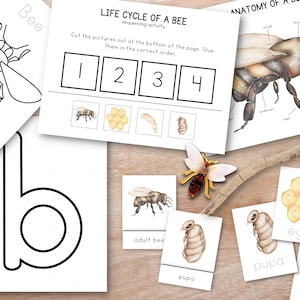 Bee Unit Study Bundle, Educational Posters, nature Study, Homeschool Learning Materials, Spring Montessori Lessons, Homeschool Unit