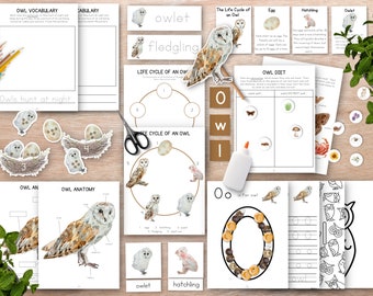 Puede incluir: Un conjunto de hojas de trabajo educativas sobre el tema de los búhos, imprimibles para niños. Las hojas de trabajo incluyen actividades como vocabulario, anatomía, ciclo de vida, dieta y reconocimiento de letras. Las hojas de trabajo presentan ilustraciones de acuarela de búhos y sus huevos.
