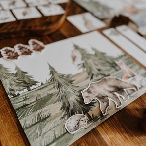 Unità di attività sugli animali del bosco, unità Montessori della foresta, flashcard sulla natura, unità sulla natura scolastica a casa, unità nel bosco, studio scolastico a casa nella foresta