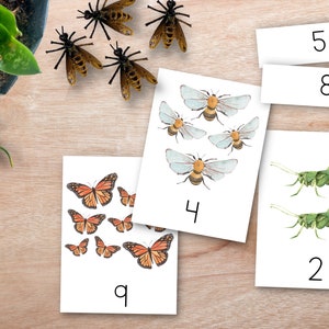 Insect Flashcards Tel tot 10 Montessori nomenclatuurkaarten, Spring Montessori Math, Number Activity Cards, Spring Flash Cards