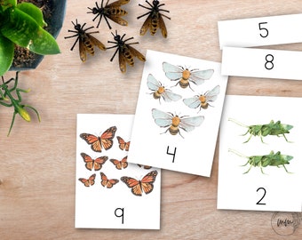 Insect Flashcards Count to 10 Montessori Nomenclature Cards, Spring Montessori Math, Number Activity Cards, Spring flash Cards