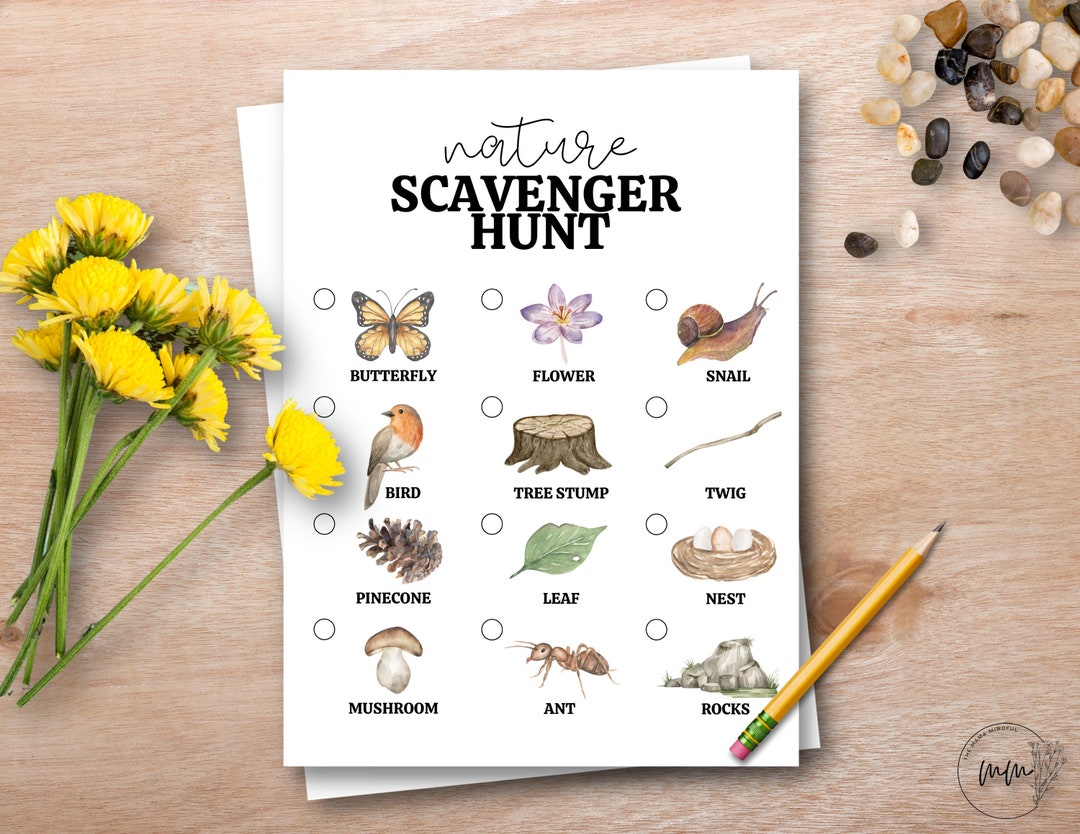 Outdoor Nature Scavenger Hunt Hiking Kid Activity Camping