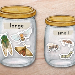 Insect Size Sorting Activity, Insect Size Match, Montessori Nature Unit, Preschool Math Activity, Math Insect Activity, Montessori Summer