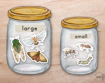 Insect Size Sorting Activity, Insect Size Match, Montessori Nature Unit, Preschool Math Activity, Math Insect Activity, Montessori Summer