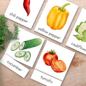 May include: Flash cards with watercolor illustrations of different vegetables, including a red chili pepper, a yellow bell pepper, a cauliflower, a cucumber, a tomato, and the text "chili pepper", "yellow pepper", "cauliflower", "cucumber", "tomato".