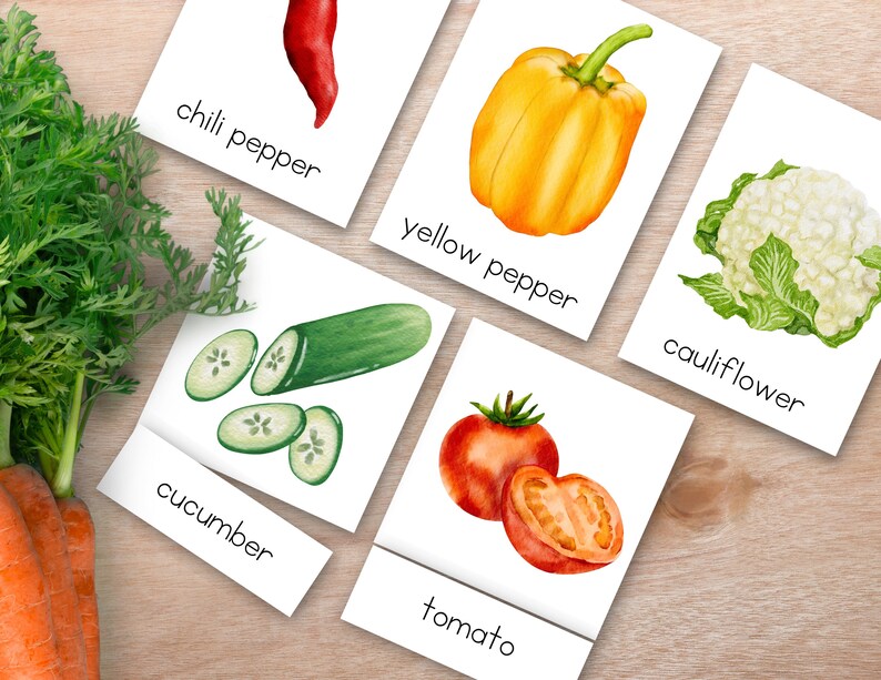 May include: Flash cards with watercolor illustrations of different vegetables, including a red chili pepper, a yellow bell pepper, a cauliflower, a cucumber, a tomato, and the text "chili pepper", "yellow pepper", "cauliflower", "cucumber", "tomato".