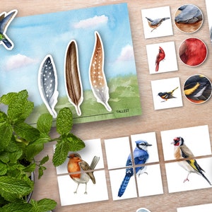 Unité d'activité d'oiseau, unité de Montessori d'oiseaux d'arrière-cour, flashcards de nature, unité de nature de ressort d'école à la maison, activité pratique préscolaire, nichoir
