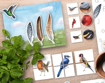 Unité d'activité d'oiseau, unité de Montessori d'oiseaux d'arrière-cour, flashcards de nature, unité de nature de ressort d'école à la maison, activité pratique préscolaire, nichoir