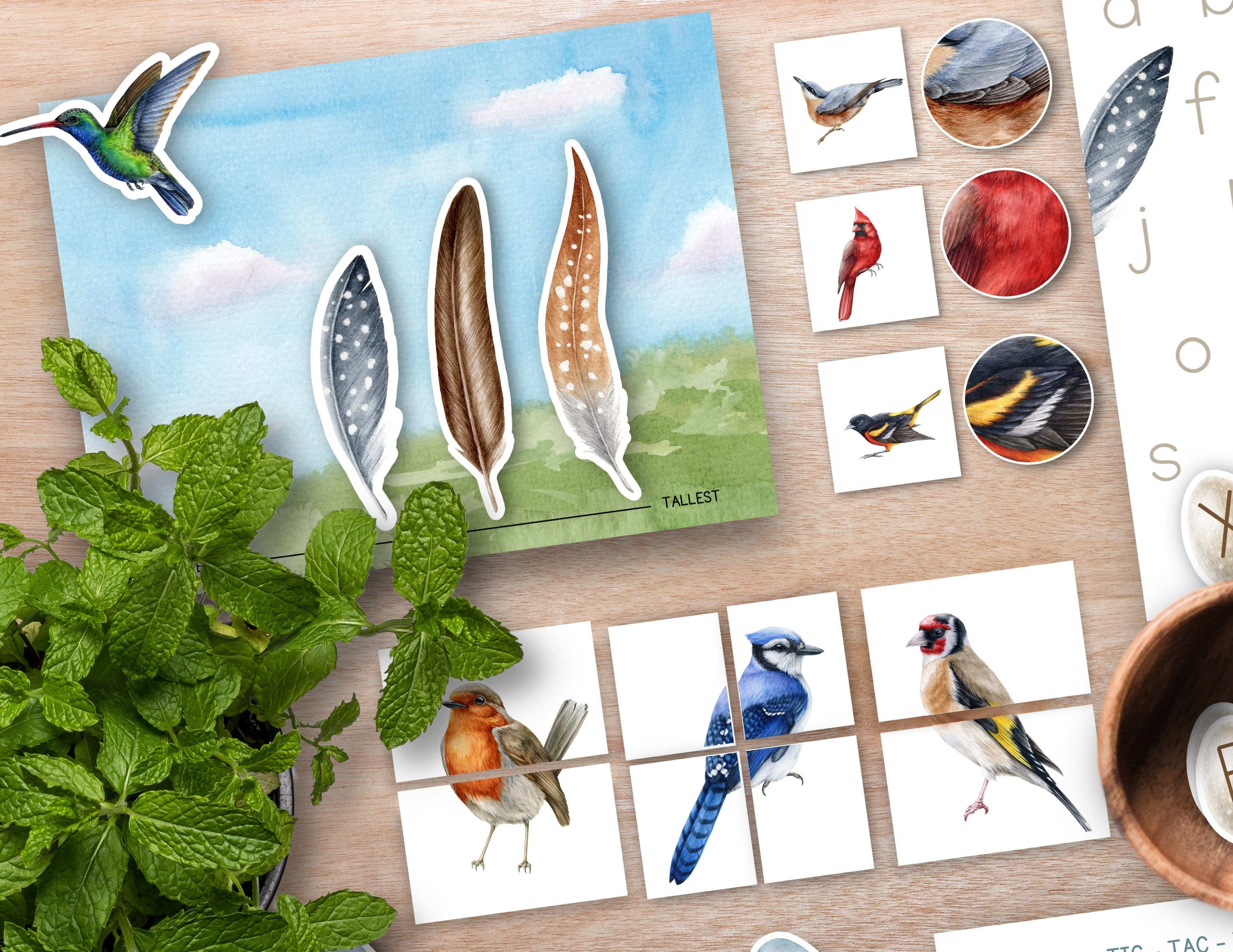 Spring Bird Unit Bird Activity Unit, Backyard Birds Montessori Unit, Nature Flashcards ...