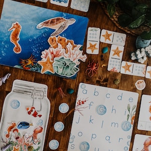 Coral Reef Activity Unit, Ocean study unit, 3 part flashcards, homeschool ocean unit, preschool hands on activity, ocean study montessori