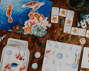 Coral Reef Activity Unit, Oceaanstudie-eenheid, 3-delige flashcards, homeschool oceaaneenheid, voorschoolse hands-on activiteit, oceaanstudie montessori