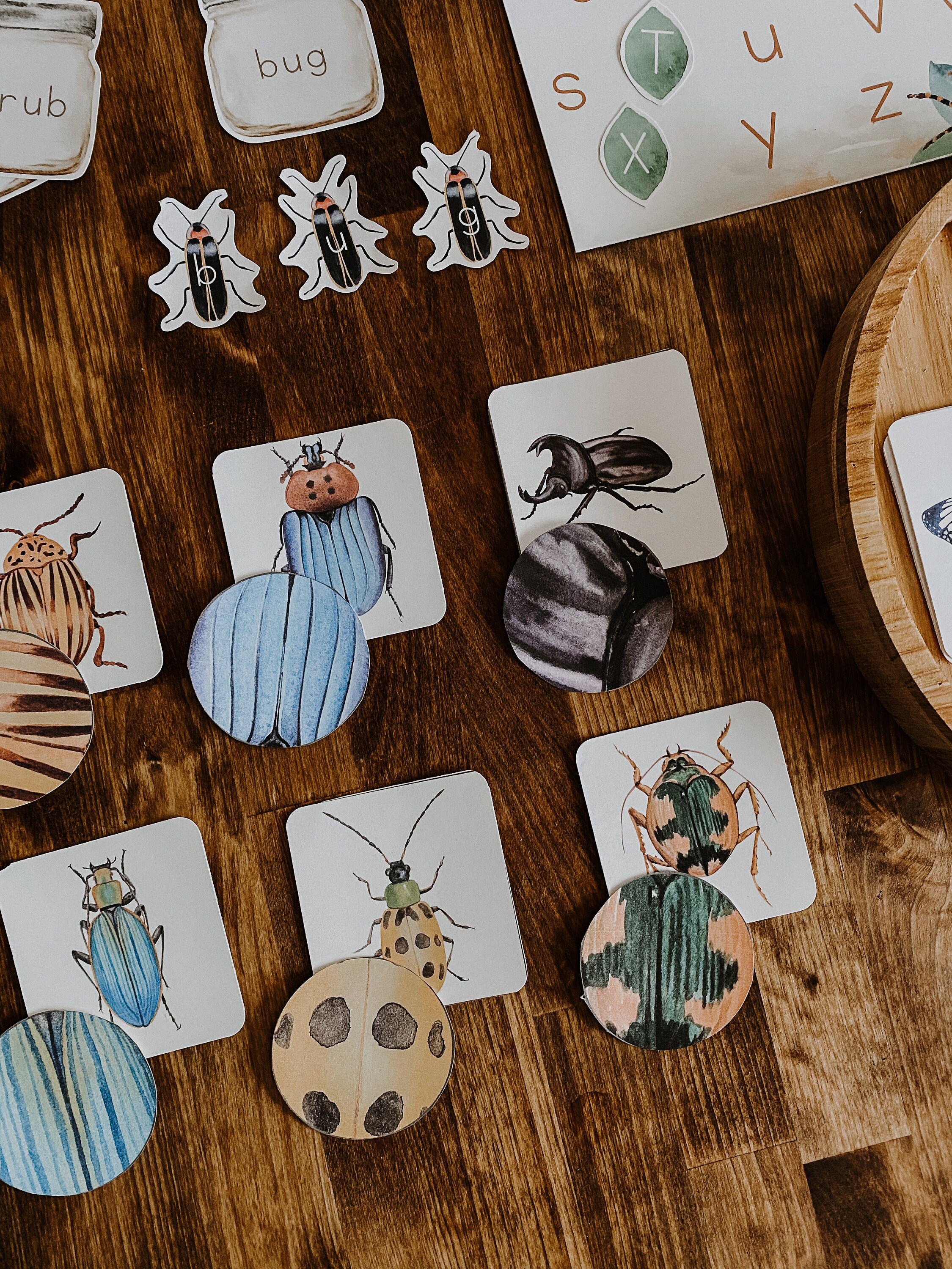 Bug Activity Unit, Insect Montessori Unit, Nature Flashcards ...