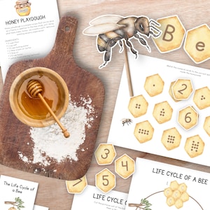 Bee Life Cycle Study Unit, Nature study, summer Montessori , nature flashcards, homeschool nature unit, preschool activities, 3 part cards