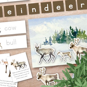 Winter Unit Study Bundle, Reindeer Unit Study, Homeschool Learning Materials, Winter Montessori Lessons, Winter Theme Homeschool Unit