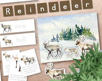 Winter Unit Study Bundle, Reindeer Unit Study, Homeschool Learning Materials, Winter Montessori Lessons, Winter Theme Homeschool Unit