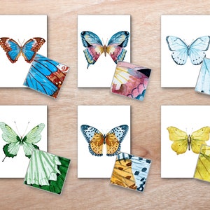 Tarjetas de coincidencia de patrones de mariposas, insectos Montessori, tarjetas de estudio de la naturaleza, patrones de animales, insectos de primavera, estudio de unidad de mariposas