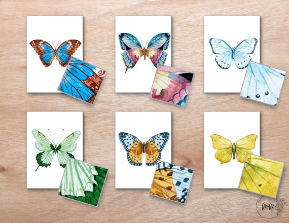 Butterfly Pattern Matching Cards, Montessori Insects, Nature Study Cards, Animal Patterns, Spring Insects, Butterfly Unit Study