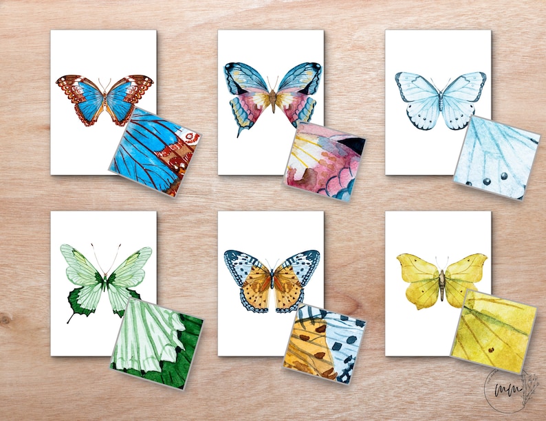 May include: Set of six watercolor butterfly illustrations, each with a different color and pattern. The butterflies are arranged in a grid pattern on a light wood background.