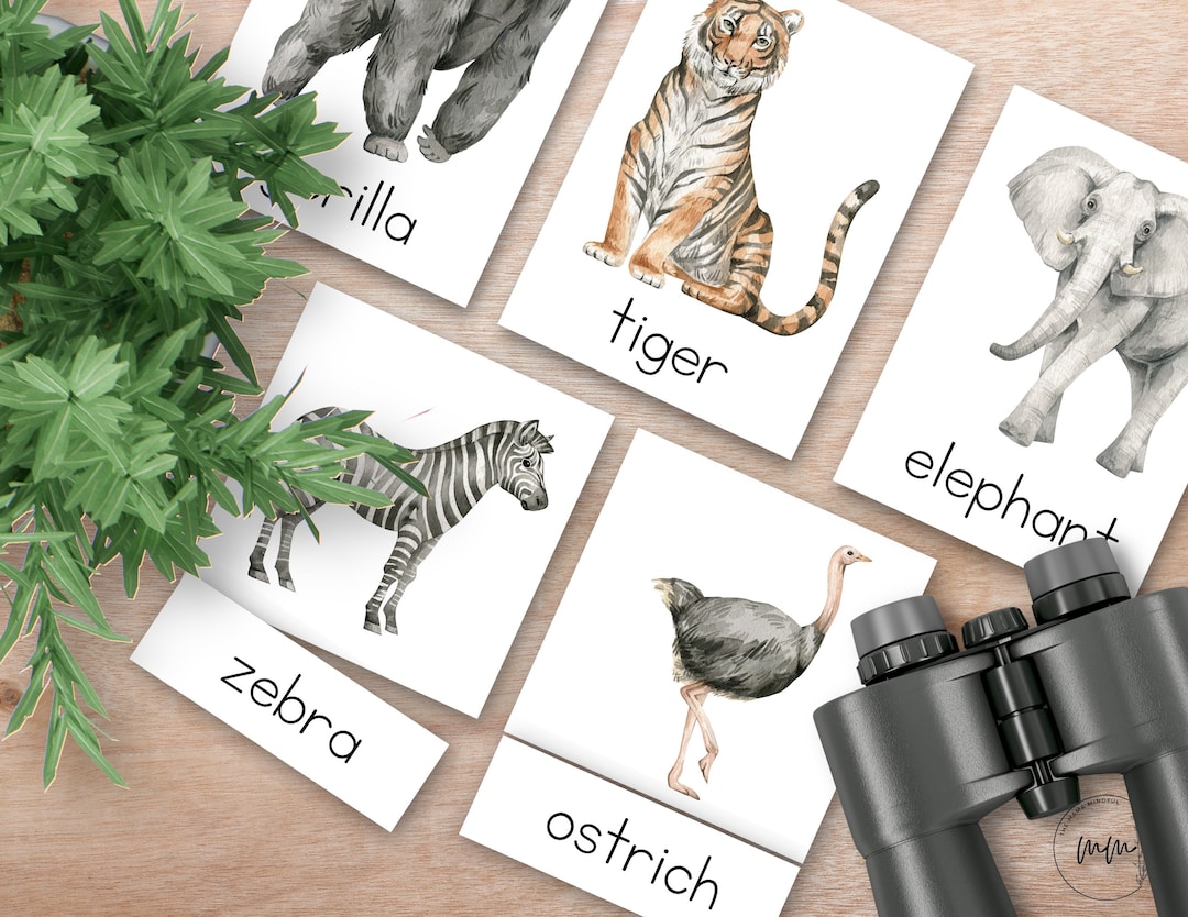 Zoo Animal 3 Part Montessori Nomenclature Cards for Kids, Zoo Wall Art