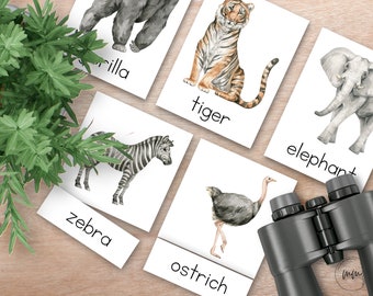 May include: A set of flashcards featuring different animals, including a gorilla, tiger, elephant, zebra, ostrich. Each card has a watercolor illustration of the animal and the name of the animal written below.