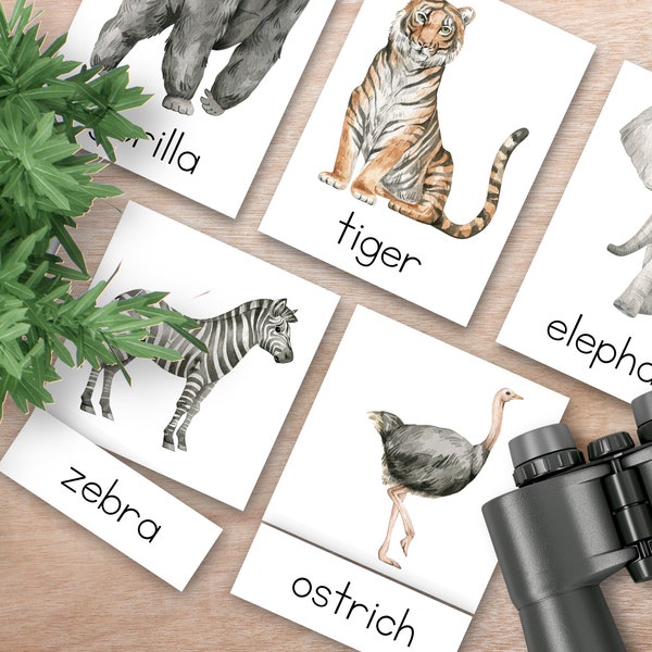 Zoo Animal 3 Part Montessori Nomenclature Cards for Kids, zoo wall art, homeschool animal unit, safari animals, Montessori summer flashcards