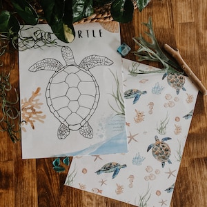 Turtle Playdough Mat, Turtle Shell, Turtle Life Cycle, Ocean Playdough Mat, Ocean unit, Homeschool Nature Unit, Toddler Ocean Activity
