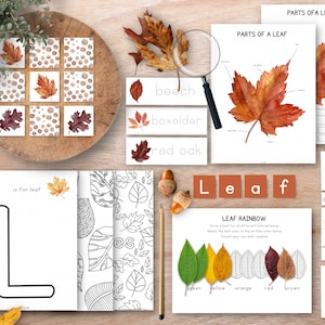 Fall Unit Study Bundle, Leaves Unit Study, Homeschool Learning Materials, Autumn Montessori Lessons, Fall Homeschool Unit, Autumn Themed