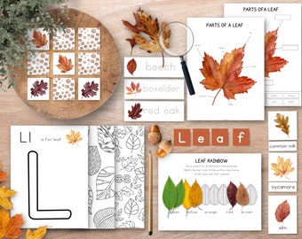 Fall Unit Study Bundle, Leaves Unit Study, Homeschool Learning Materials, Autumn Montessori Lessons, Fall Homeschool Unit, Autumn Themed