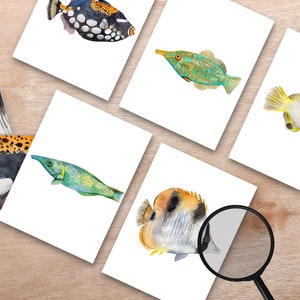 Matchende kaarten met vispatronen, oceaanstudie-eenheid, dierenpatronen, Montessori-vissen, tropische vissen-flashcards, Montessori-leermateriaal