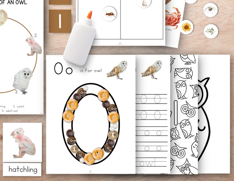 Owl Unit Study Bundle, Owl Study, Fall Montessori Unit, Nature ...