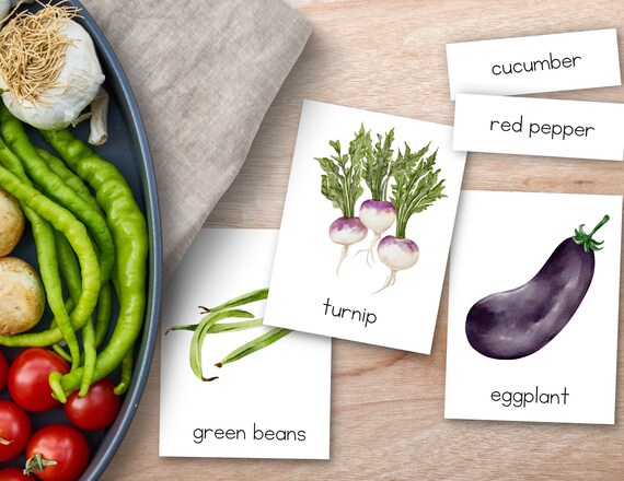 Vegetable Garden Flashcards, Vocabulary Cards, 3 Part Montessori Nomenclature Cards, Homeschool Activity, Gardening for kids, Toddler Garden