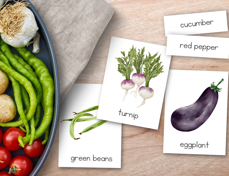 May include: A set of flashcards with watercolor illustrations of different vegetables. The cards feature images of green beans, eggplant, turnip, red pepper, and cucumber. Each card has the name of the vegetable printed below the image.