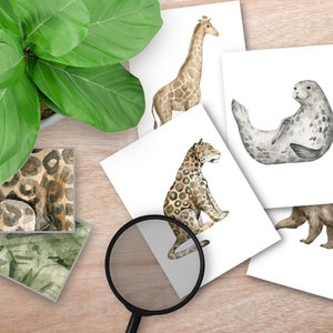 Animal Pattern Matching Cards, Montessori Animals, Nature Study Cards, Animal Patterns, Animal Unit Study, Busy Book Activity, Matching Game