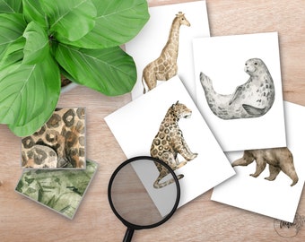 Tarjetas de coincidencia de patrones de animales, animales Montessori, tarjetas de estudio de la naturaleza, patrones de animales, estudio de unidades animales, actividad de libro ocupado, juego de correspondencias
