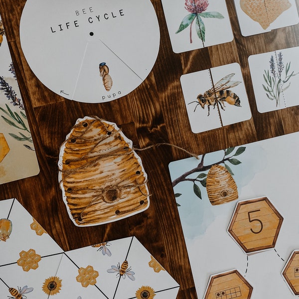 Bee Activity Unit, Bee Montessori unit, nature flashcards, homeschool summer nature unit, bee life cycle unit, bee unit study for toddlers