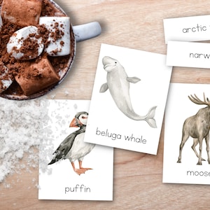 Carte di nomenclatura Montessori in 3 parti degli animali artici, arte della parete degli animali, unità animale della scuola domestica, animali artici, flashcard invernali Montessori