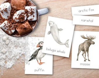 Arctic Animal 3 Part Montessori Nomenclature Cards, animal wall art, homeschool animal unit, arctic animals, Montessori winter flashcards