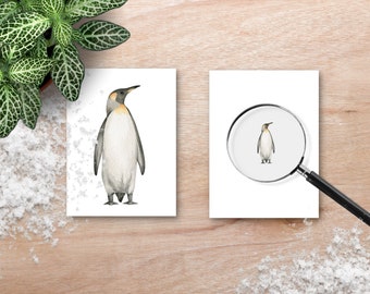 Arctic Animal Magnifying Match Activity, Montessori Winter Activity, hands-on kids activity, winter theme Unit,  Arctic Animal flash cards