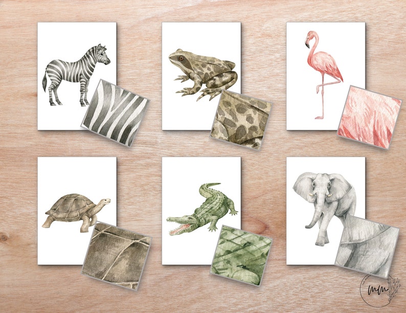 Animal Pattern Matching Cards, Montessori Animals, Nature Study Cards ...