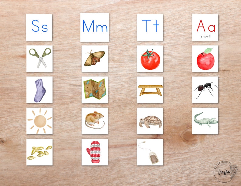 May include: A set of 16 flashcards featuring various letters of the alphabet and corresponding images. The letters are printed in blue and the images are watercolor illustrations. The images include a pair of scissors, a moth, a sock, a map, a bench, an ant, a sun, a mouse, a turtle, an alligator, sunflower seeds, a mitten, and a tea bag.