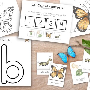 May include: A printable educational activity for kids to learn about the life cycle of a butterfly. The activity includes a sequencing activity with images of a butterfly egg, caterpillar, chrysalis, and butterfly. The images are black and white and can be cut out and glued in the correct order. The activity also includes a printable letter 'b' for butterfly.